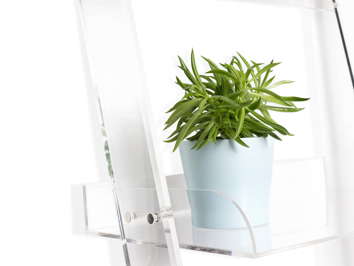 Clear Leaning Shelf - The Everset